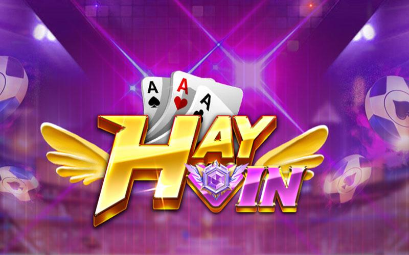 Đánh giá giao diện website của HayVin